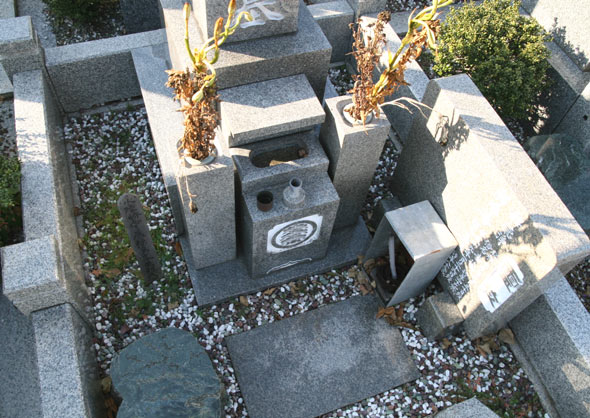 ��ƑO�̂���B�e