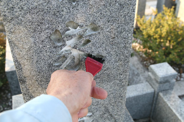 ��΂𐅂Ŏ��