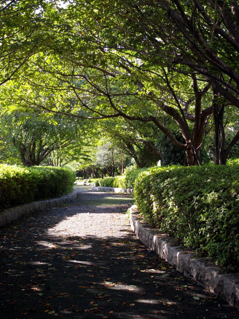 お墓参り代行は供養園